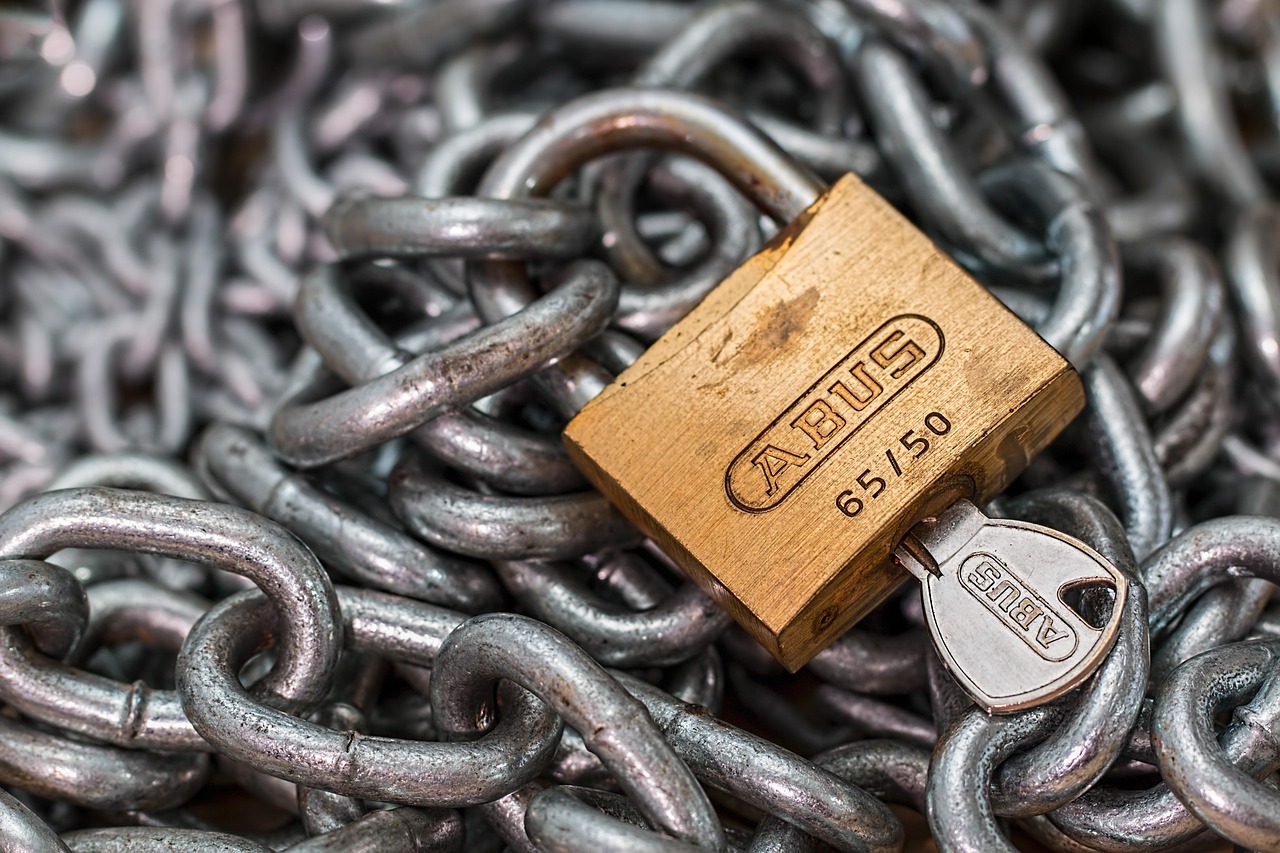Digital Alibis for AI: Cryptography's Role in Trusting Algorithms