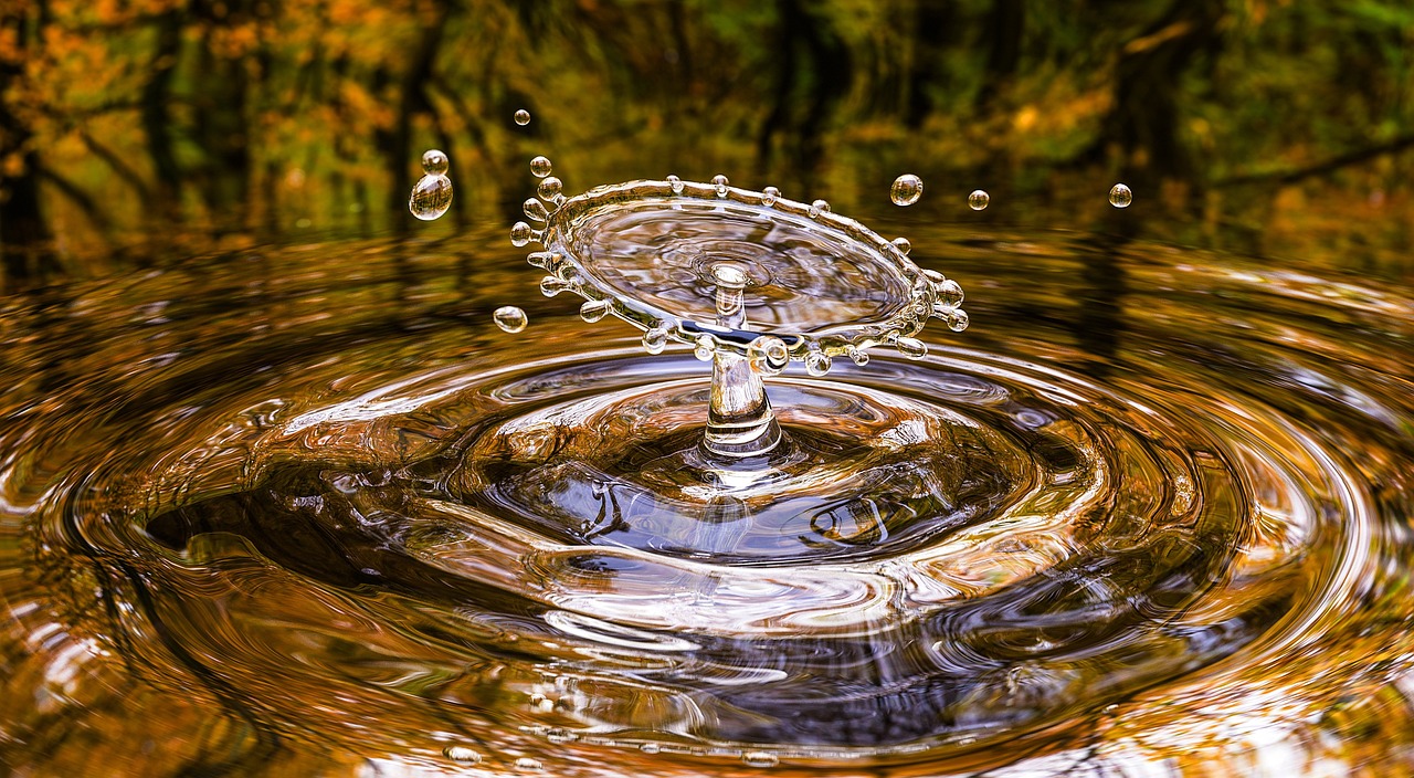 The Era of Liquid Neural Networks: Why Sparse, Adaptive Models are Replacing Static Weights